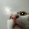 yur1caaa