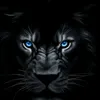 user5rqekt7wrq