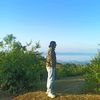 bijayroka8