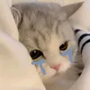 diepokpi