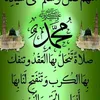 alihamlhaml