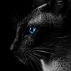 valak.valac
