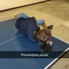 kristis_18