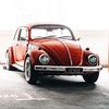 buckbuckbugawk