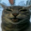lolsosky