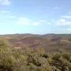 hassnaetiz