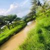haji_looyaan