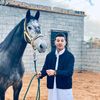 user81fnvzgr0n