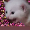 user2aecvsh3kd