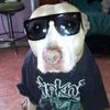 mynameisladykiller