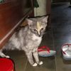 sabina.lintang