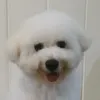 rangerwaffles