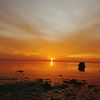 otak_rote__12