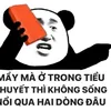 phucluu144