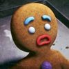 recklessbiped