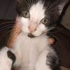 teencuteie