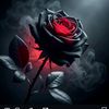 darkrose2230