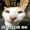 fitrahraihansyah