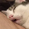 emmiuxig