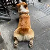meomeoo_25