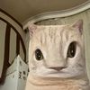 catsgoesmeuw