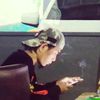 raja_tanpa_ratu13