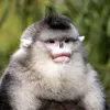 tegridad