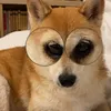 aunt_280