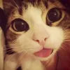 boopbeepboopbeepboop0