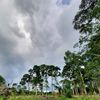 otong__aja