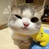 tinau05_