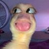 sulissk