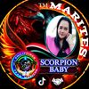 scorpion_baby1828