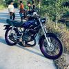 dheni2511