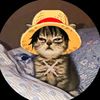 monkey.d.cat09
