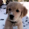 fp_charlie_5