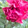 user88609632583553