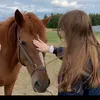 hablbatsofy0
