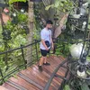 shoaib_mo