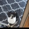 fuzzybear427