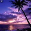 user03189458