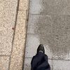 nik_cherry_8_again