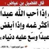user20928678144