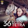 margaridapinto40