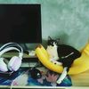 fon___tc
