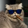 el_mishicr