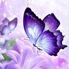 whatsurpurpose7