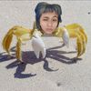 ddinoglu