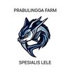 prabulingga_farm