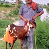 ashrafking362